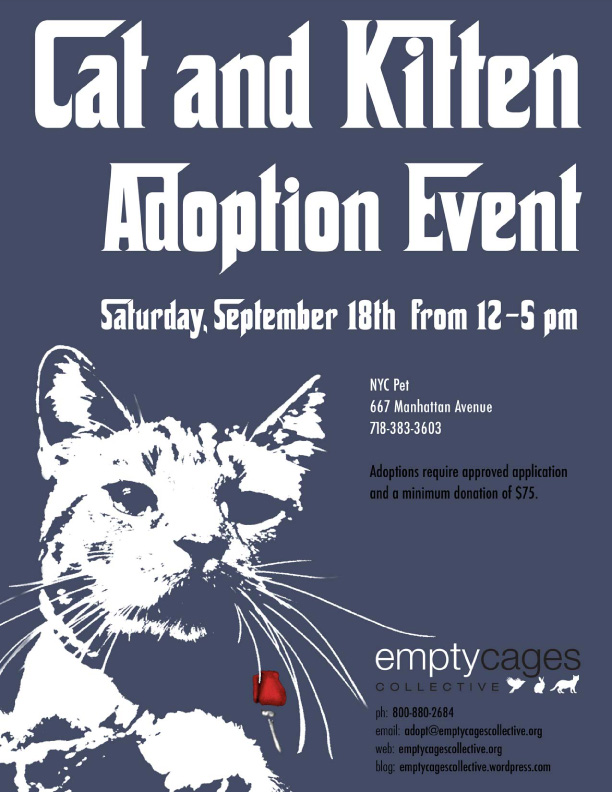 Adoptionevent10-18.jpg