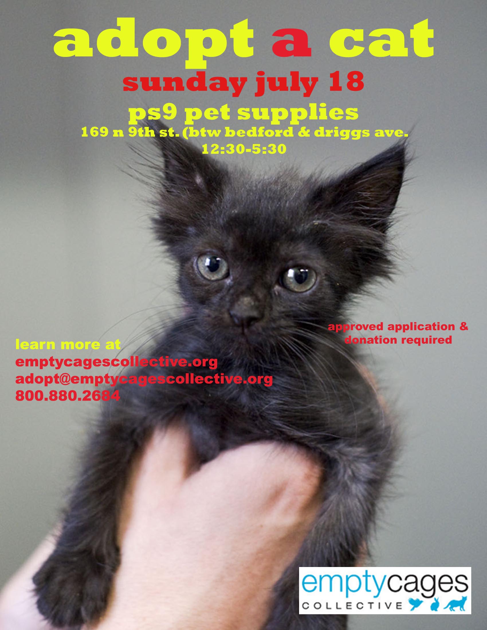 adoption event july 18